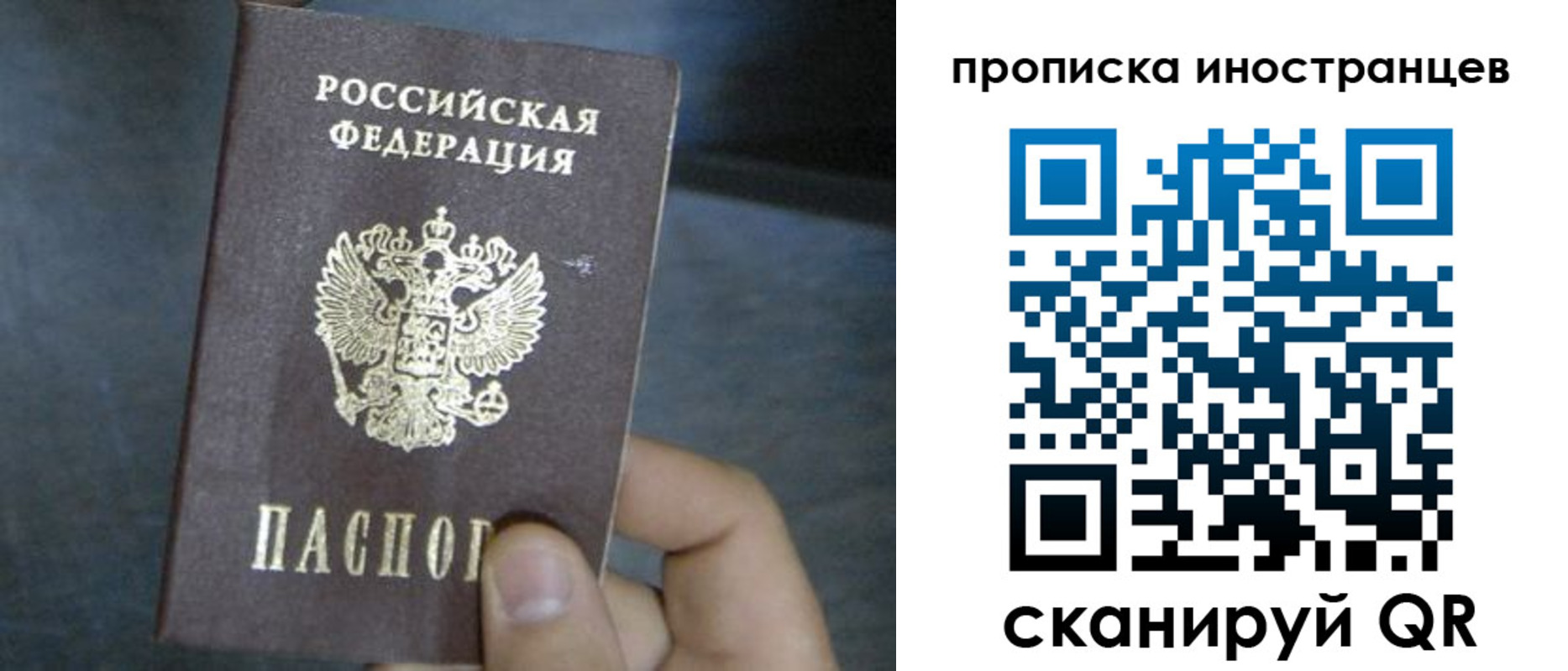 прописка в квартире в Снежногорске