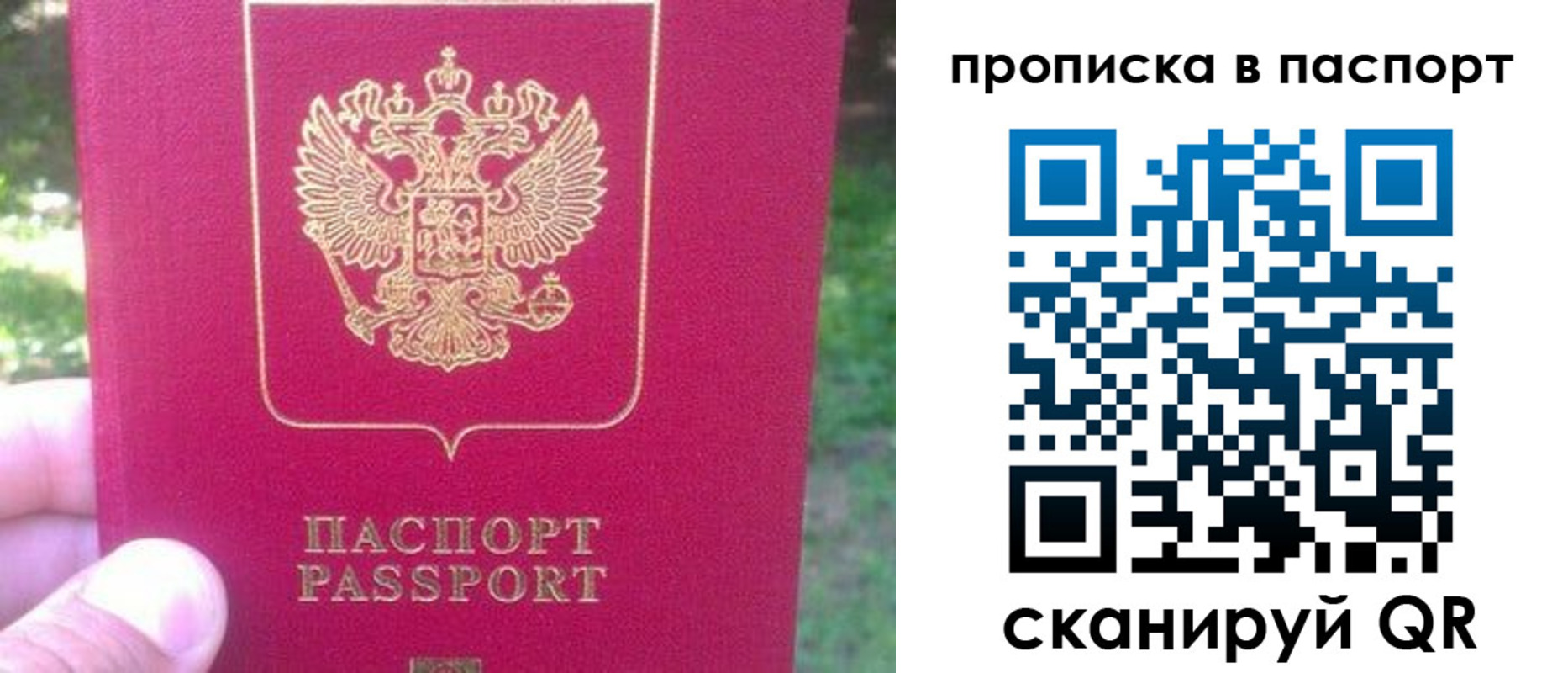 временная регистрация для всех в Снежногорске